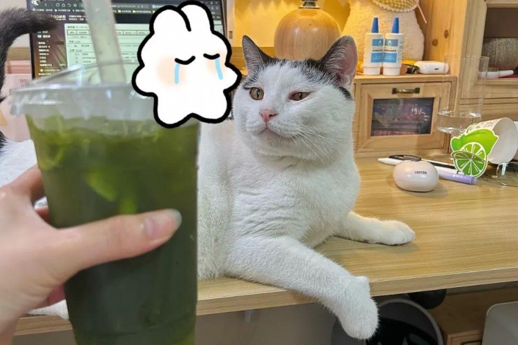 小红书被关进小黑屋含泪总结出3条避坑指南!