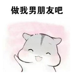 用支付宝就能找到女朋友这种操作你敢信单身狗看了想打人