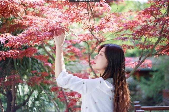 现代人的爱始于微信，也可以死于微信